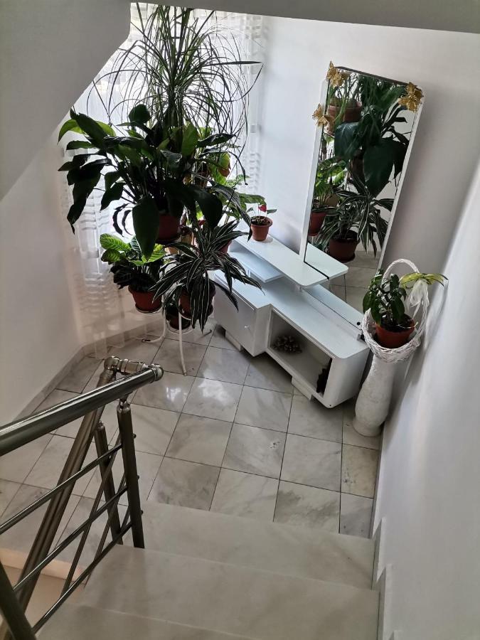 Guest House Konomaevi 索佐波尔 外观 照片