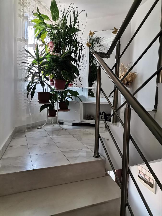 Guest House Konomaevi 索佐波尔 外观 照片